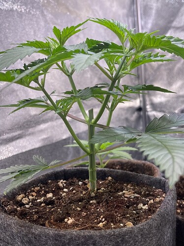 Growreport Bild 2