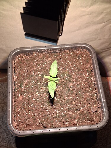 08-