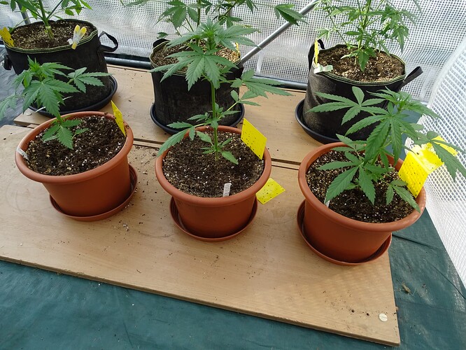 Growreport Bild 9