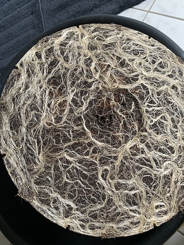 Growreport Bild 4