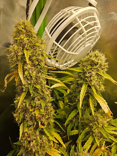 Growreport Bild 5