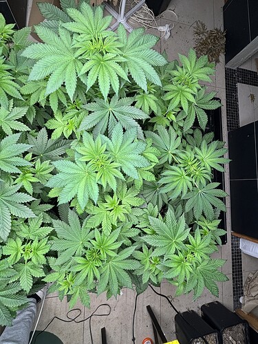 Growreport Bild 16