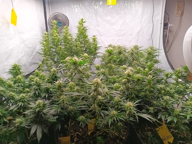 Growreport Bild 1
