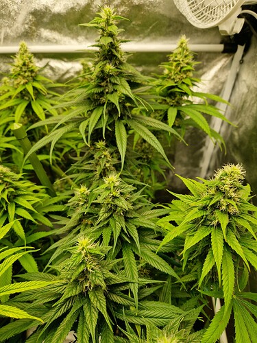 Growreport Bild 8