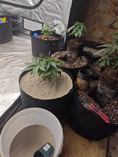 Growreport Bild 5