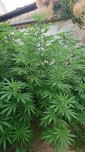 Growreport Bild 17