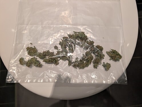 Growreport Bild 26