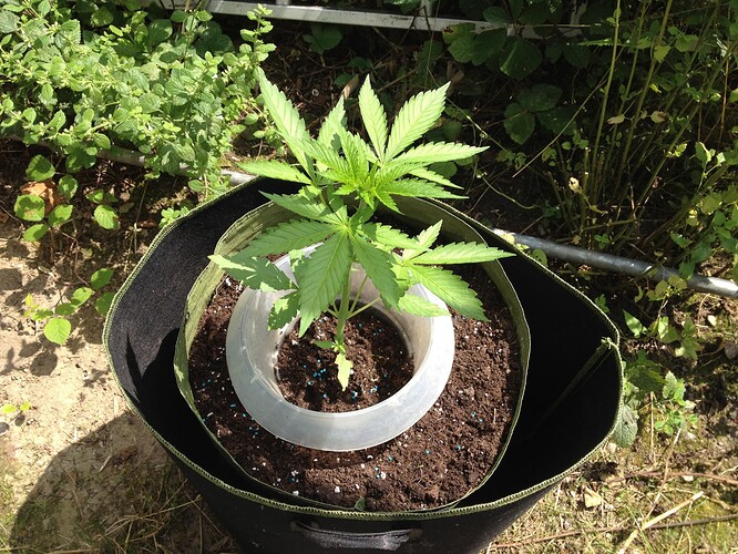 Growreport Bild 27