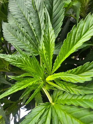 Growreport Bild 23