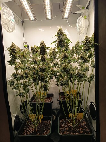 Growreport Bild 22