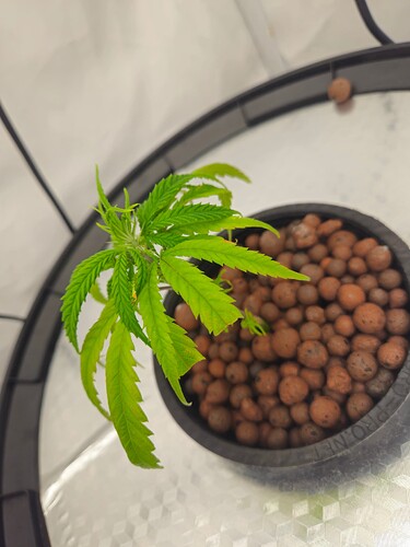 Growreport Bild 4