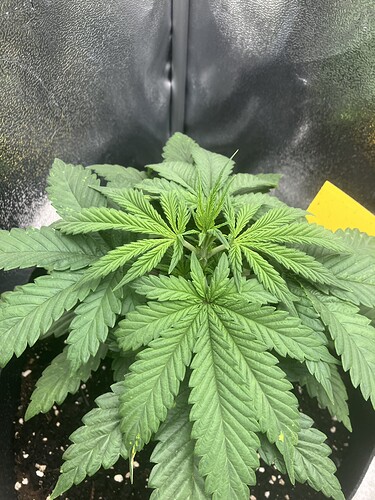 Growreport Bild 11