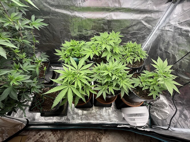 Growreport Bild 10