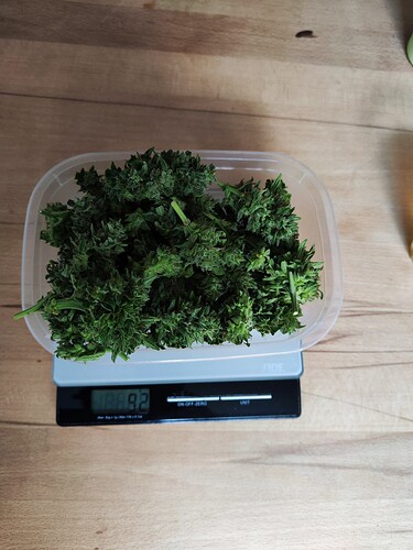 Growreport Bild 5