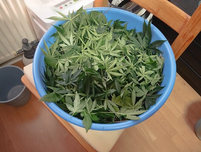 Growreport Bild 13