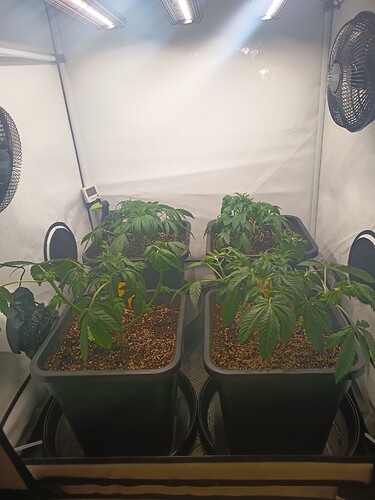 Growreport Bild 11