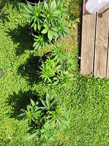 Growreport Bild 6