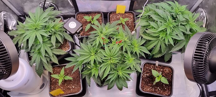 Growreport Bild 20