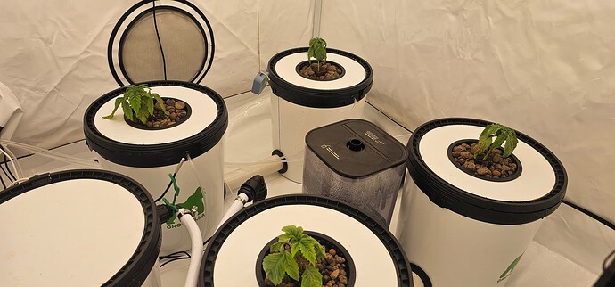 Growreport Bild 8