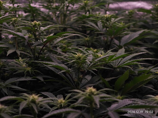 Growreport Bild 10