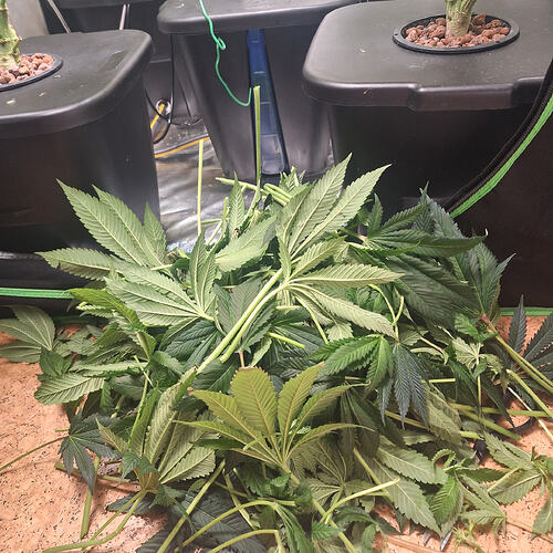 Growreport Bild 11