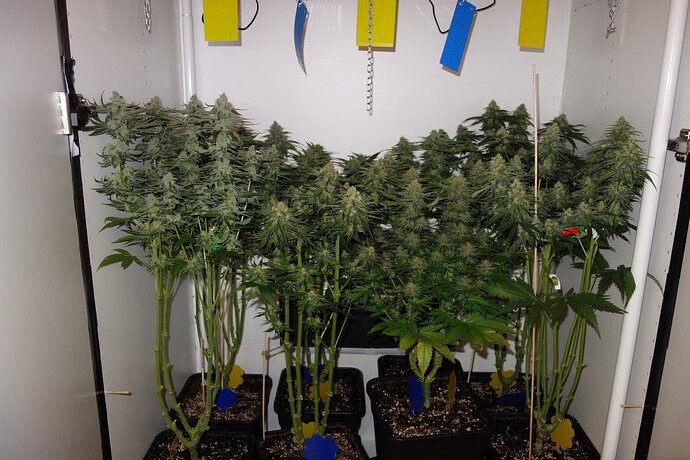 Growreport Bild 3