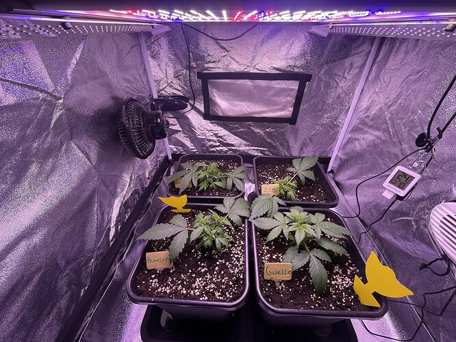 Growreport Bild 2