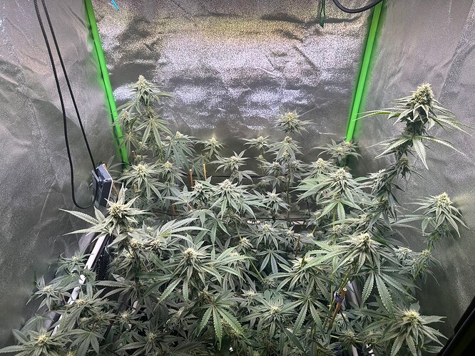 Growreport Bild 1
