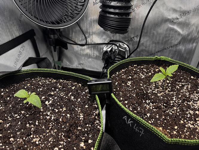 Growreport Bild 4