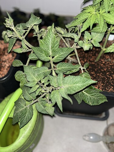 Growreport Bild 6