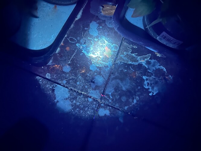 Growreport Bild 12