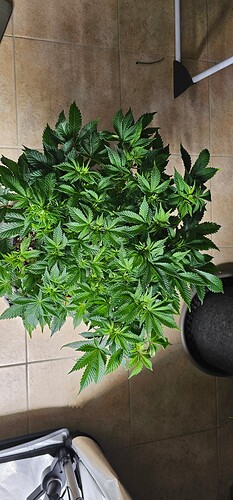 Growreport Bild 21