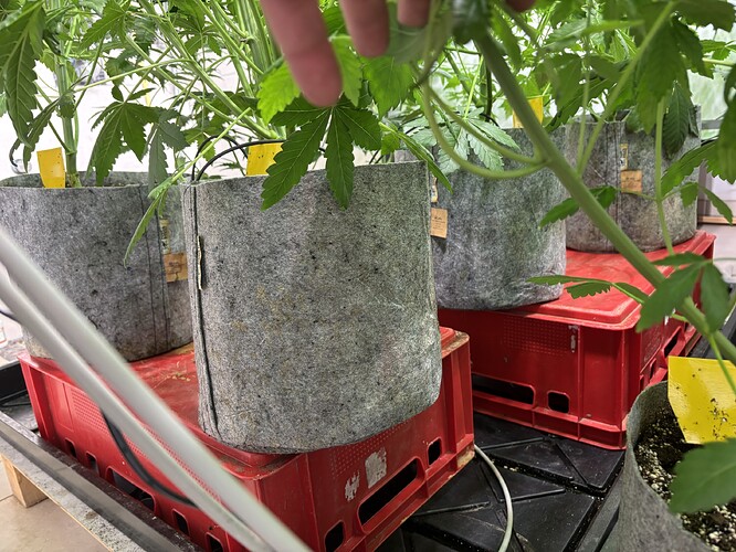 Growreport Bild 12