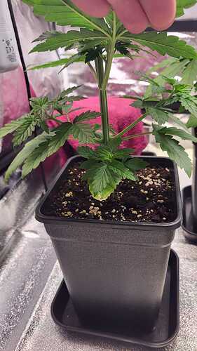 Growreport Bild 14