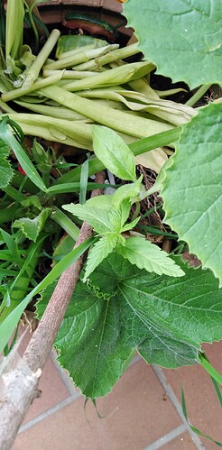Growreport Bild 14