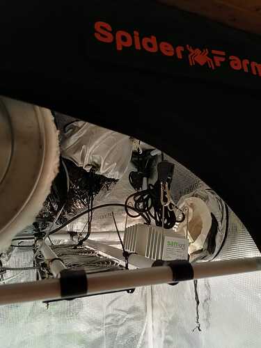 Growreport Bild 8