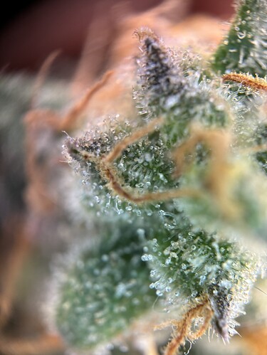 Growreport Bild 22