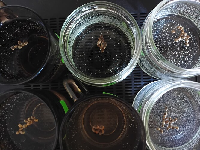Growreport Bild 22
