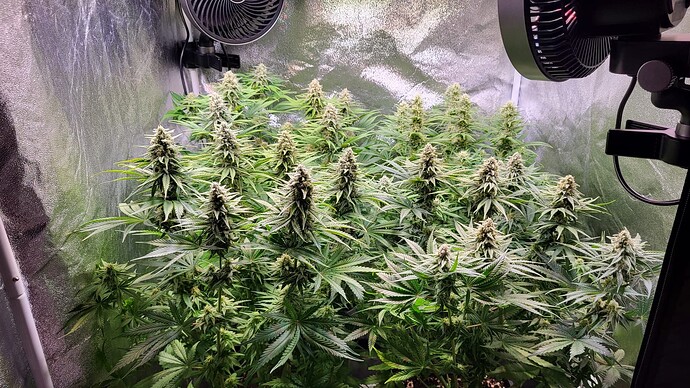 Growreport Bild 23