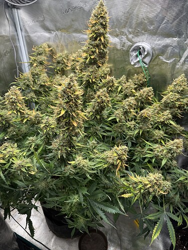 Growreport Bild 28