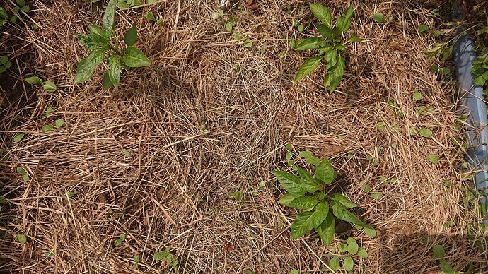 Growreport Bild 21