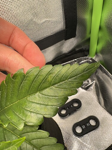 Growreport Bild 10