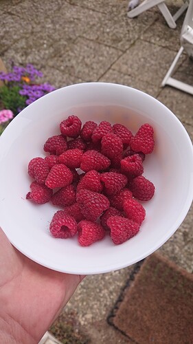 Growreport Bild 14