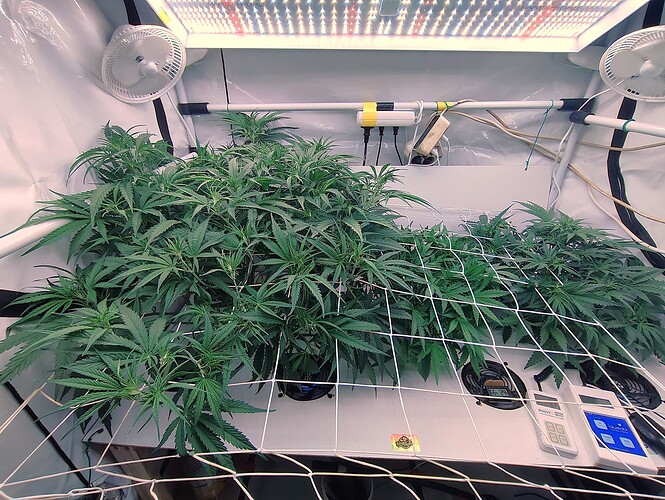 Growreport Bild 16
