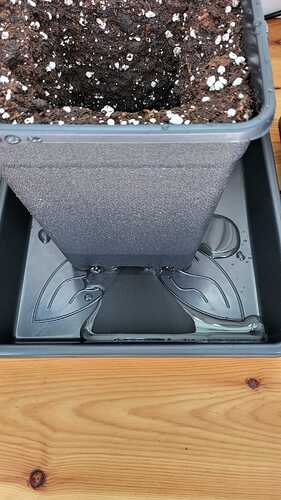 Growreport Bild 17