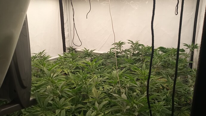 Growreport Bild 1