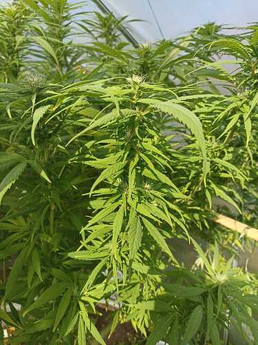 WhatsApp Bild 2024-10-07 um 13.16.49_0c14950a