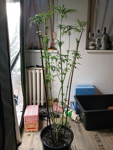 Growreport Bild 17