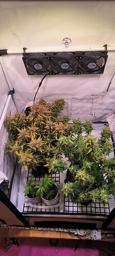 Growreport Bild 24