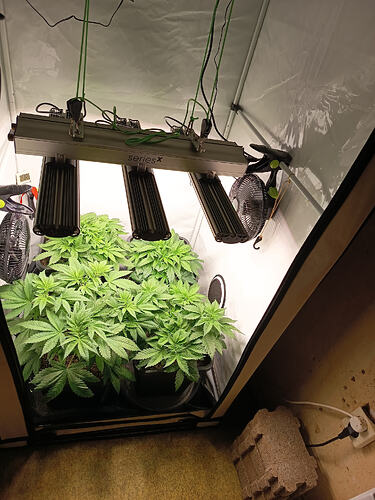 Growreport Bild 15
